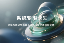 没有 exec 和 read 权限，无法运行程序或读取文件？5 步系统排查与修复指南
